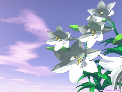 414704 (a): :1024x768